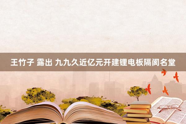 王竹子 露出 九九久近亿元开建锂电板隔阂名堂