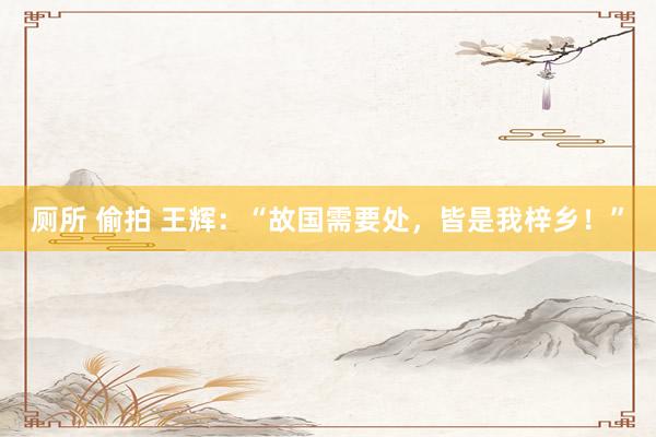 厕所 偷拍 王辉：“故国需要处，皆是我梓乡！”