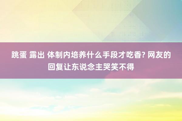 跳蛋 露出 体制内培养什么手段才吃香? 网友的回复让东说念主哭笑不得