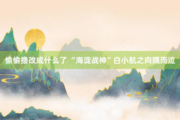 偷偷撸改成什么了 “海淀战神”白小航之向隅而泣